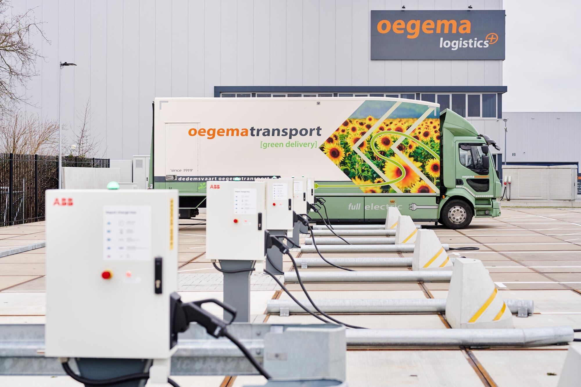 Oegema