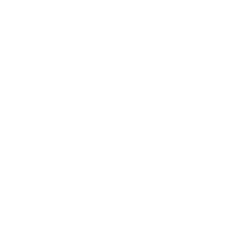 ISO 9001 wit