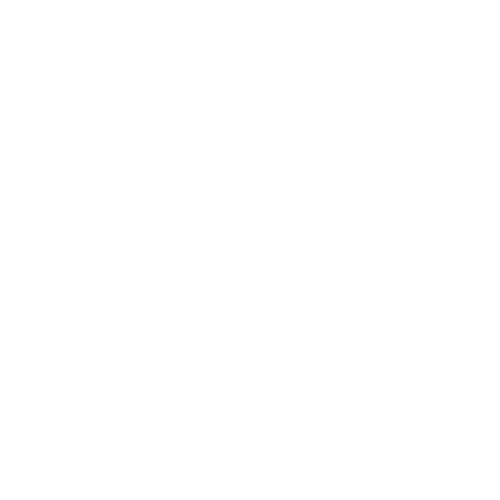 ISO-IEC 27001 wit